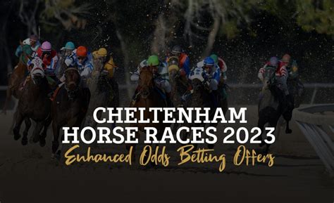 bet on cheltenham